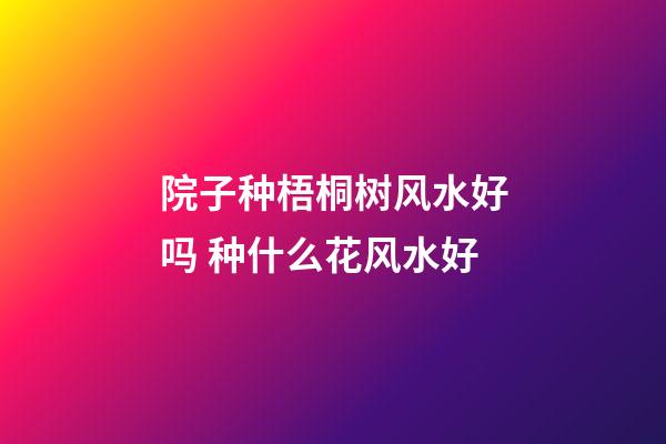 院子种梧桐树风水好吗 种什么花风水好